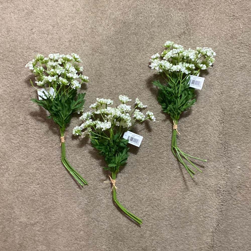 13’ Holland Lace Bundle Cream